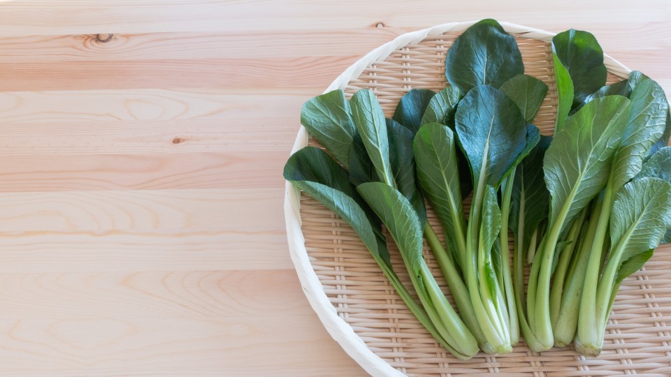 AdobeStock_477795062-960x540